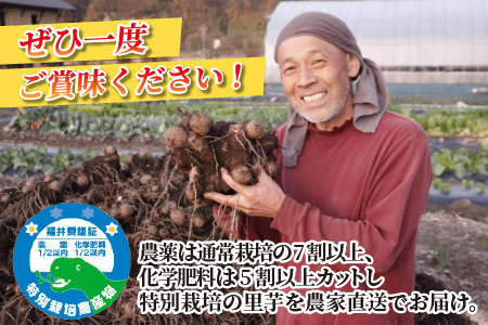 【先行予約】【年明け1月～3月上旬まで発送】越前大野産 里芋 4.5kg  農家直送 さといも [A-008002]