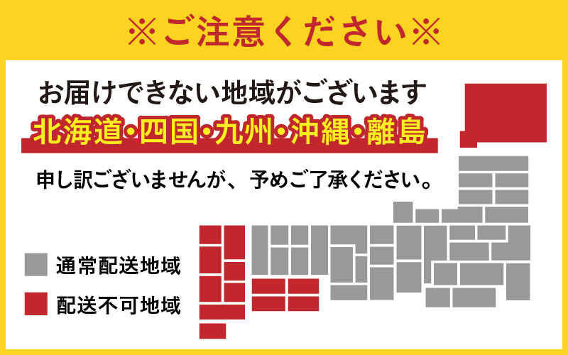 福井県大野市 冬の名物 でっち羊かん（手作り菓子 陽明堂 水ようかん）小サイズ（正味560g）×1箱