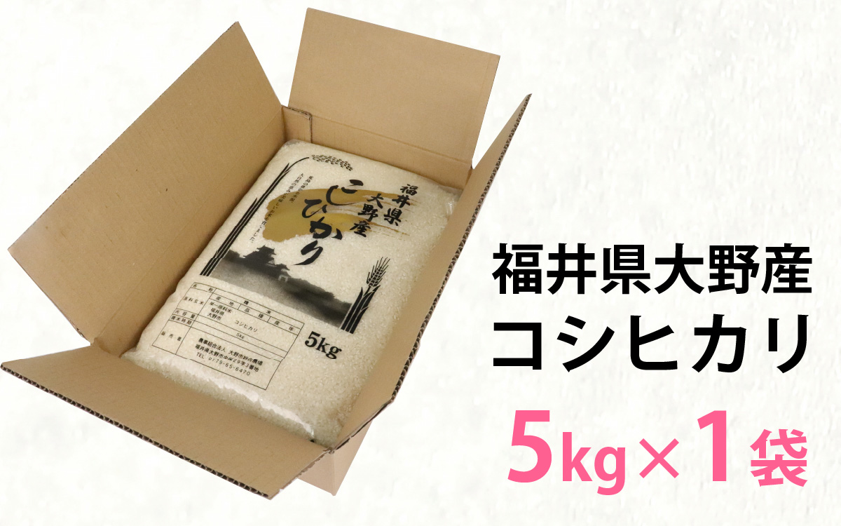 【先行予約】【令和7年産 新米】福井県大野産コシヒカリ（白米）5kg