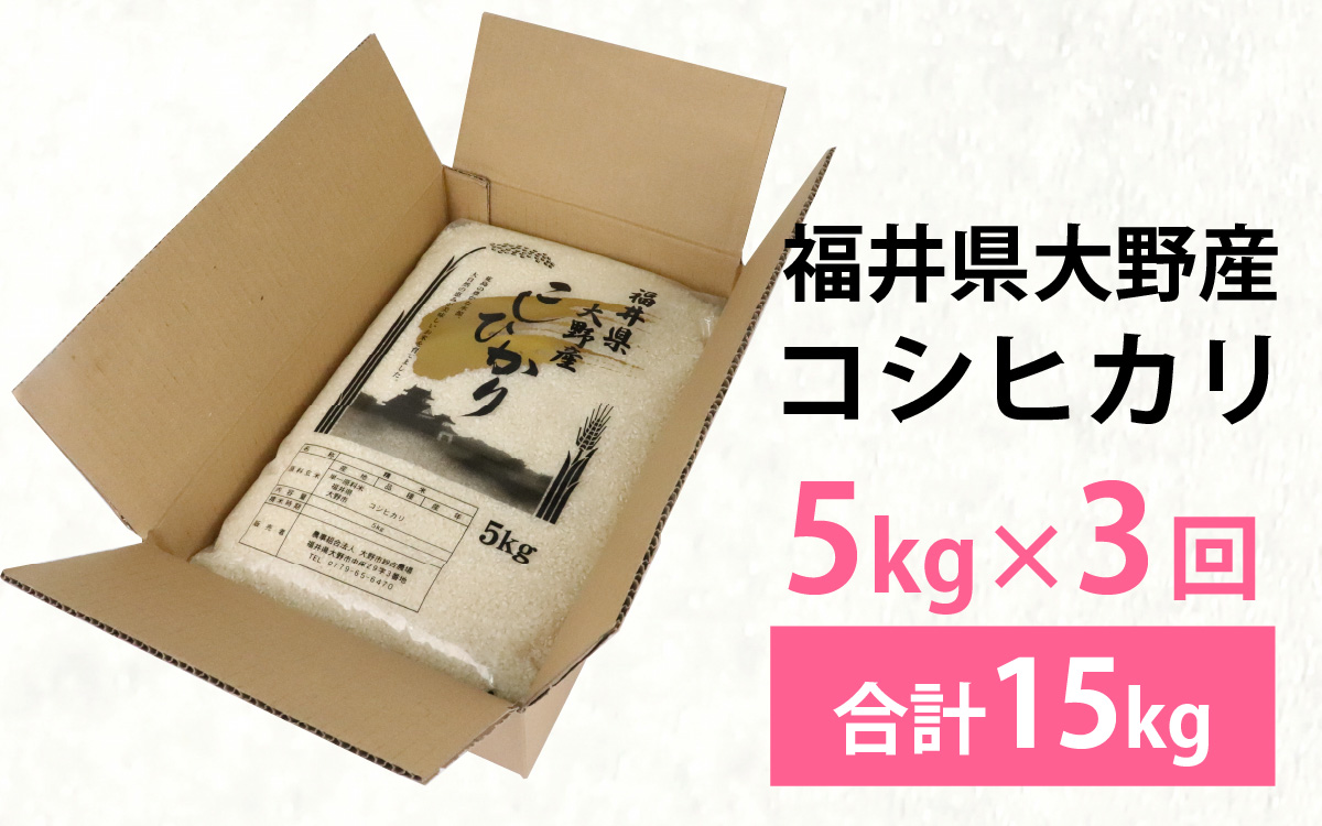 【先行予約】【3ヶ月定期便】【令和7年産 新米】福井県大野産コシヒカリ（白米）5kg×３回　計15kg
