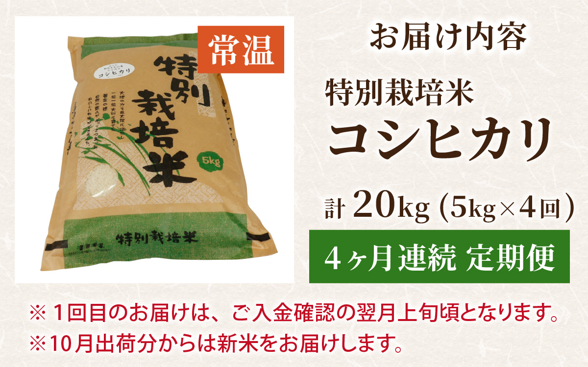 【4ヶ月定期便】【令和7年産 新米】福井県認証の特別栽培米 コシヒカリ  5kg×4回（計20kg））