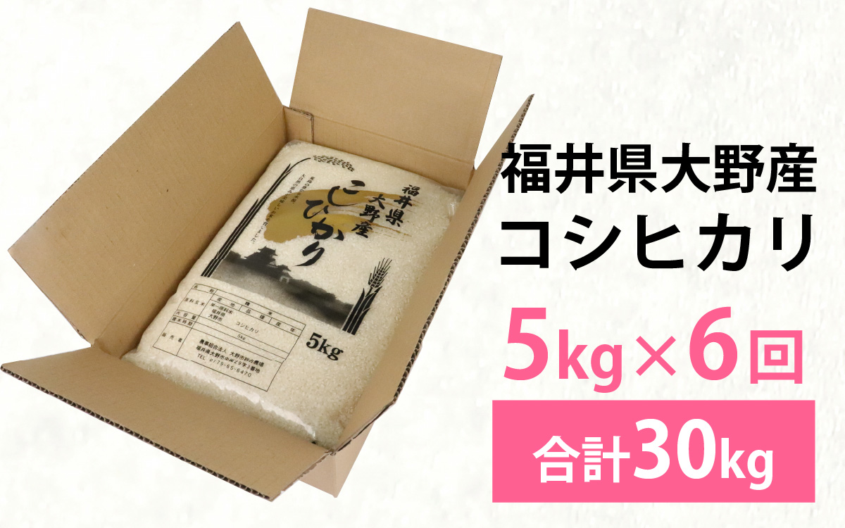 【先行予約】【6ヶ月定期便】【令和7年産 新米】福井県大野産コシヒカリ（白米）5kg×6回　計30kg