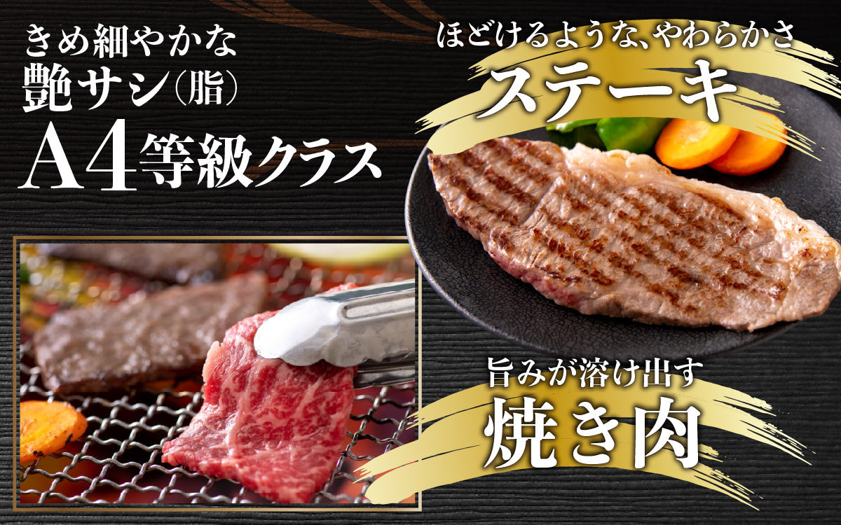 【肉の定期便×6回コース】肉好き大集合！若狭牛 食べ比べ 定期便！【福井のブランド牛肉】【4等級以上】[K-054002]