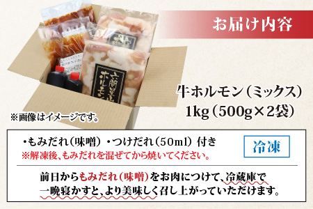 ホルモンの老舗　六間星山の牛ホルモン(ミックス) 500g×2袋 計1kg [A-026001]