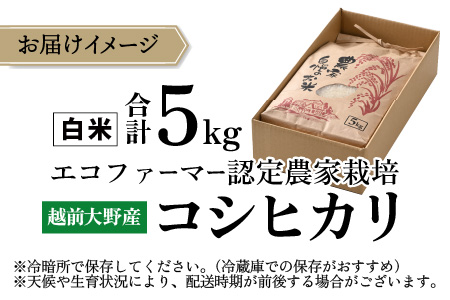 【令和7年産 新米】【有機栽培】エコファーマー認定農家栽培 コシヒカリ5kg（白米）[A-001034]
