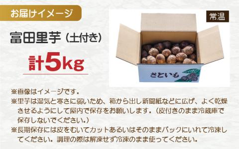 希少！とみた里芋 5kg ねっとりまろやか煮崩れなし！【11月～年内出荷】 [A-001048]