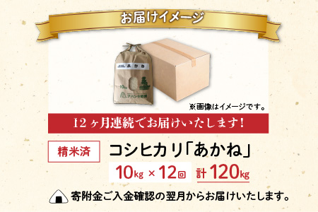 【令和5年産】【12ヶ月定期便】福井県大野市産 JGAP認証 コシヒカリ「あかね」10kg [K-007001]