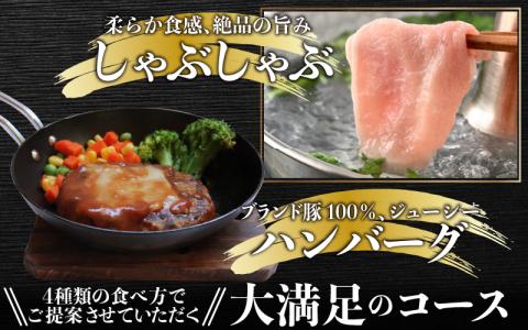 【肉の定期便×6回コース】肉好き大集合！臭みゼロの豚肉「荒島ポーク」食べ比べ 定期便！【福井のブランド豚肉】[F-054001]