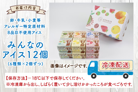 みんなのアイス 12個セット（ 卵・牛乳・小麦等アレルギー特定原材料8品目不使用のアイス ） [A-031004]