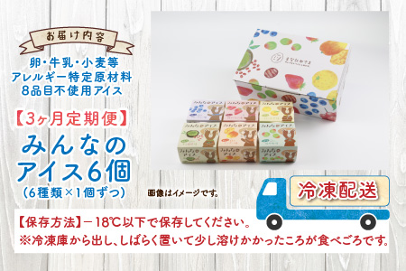 【3ヶ月定期便】みんなの アイス 6個セット（卵・牛乳・小麦等アレルギー特定原材料8品目不使用）　[B-031001]