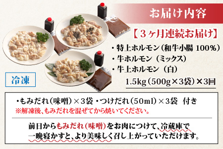 【3ヶ月定期便】六間星山のホルモン食べ比べセット1.5kg（500g×3袋）×3回　合計4.5kg[E-026001]