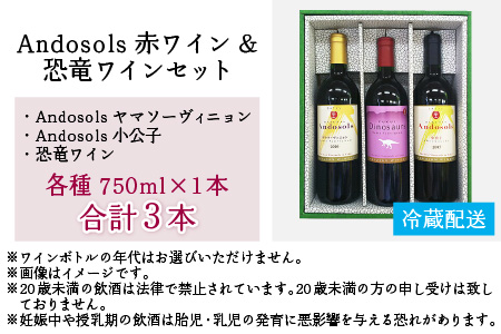 Ａｎｄｏｓｏｌｓ赤ワイン＆恐竜ワインセット[D-021003]