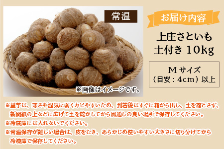 【先行予約】【11月発送分】上庄さといも 10kg 減農薬・減化学肥料の特別栽培里芋 農家直送