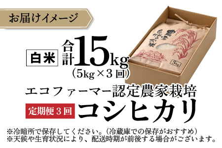 【先行予約】【令和7年産 新米】【3ヶ月定期便】越前大野産 エコファーマー認定農家栽培こしひかり 白米 5kg × 3回 計15kg 【2025年10月より順次お届け】