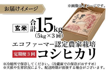 【先行予約】【令和7年産 新米】【3ヶ月定期便】越前大野産 エコファーマー認定農家栽培こしひかり 玄米 5kg × 3回 計15kg【2025年10月より順次お届け】