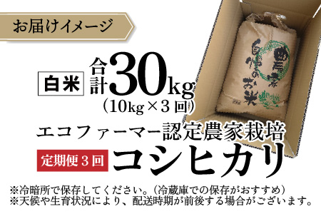 【先行予約】【令和7年産 新米】【3ヶ月定期便】越前大野産 エコファーマー認定農家栽培こしひかり 白米 10kg × 3回 計30kg【2025年10月より順次お届け】