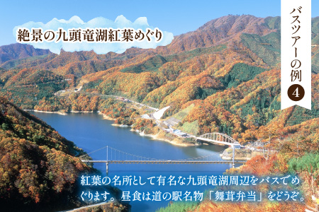 大野を満喫するならコレ！日帰りバスツアー参加券（1名様分）[C-006001]