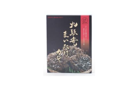 レンジでチン！水のまちのカレーライスセット【１０食分】[B-003012]