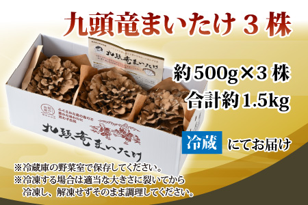 九頭竜まいたけ 3株入り [A-038004]