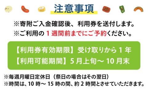 高原BBQ＋高原ミニソフト＆ドリンク付き 4名様分【準備・炭起こし・片付け込み】【利用可能期間 5月上旬～10月末】[E-027001]