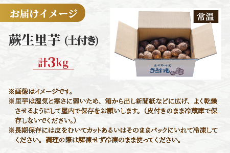【年内お届け】日本百名山 荒島岳の麓で育てた 蕨生（わらびょう）里芋 3kg【11月～年内出荷】[A-001010]
