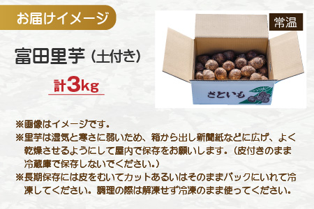 希少！とみた里芋 3kg ねっとりまろやか煮崩れなし！【年内出荷】 [A-001012]