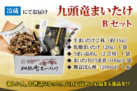 九頭竜まいたけとうま煮・ごはんの素など加工品セット(Bセット)[A-038005]