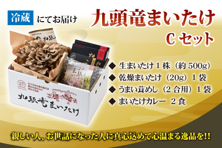 九頭竜まいたけとカレー・ごはんの素など加工品セット(Cセット)[A-038006]