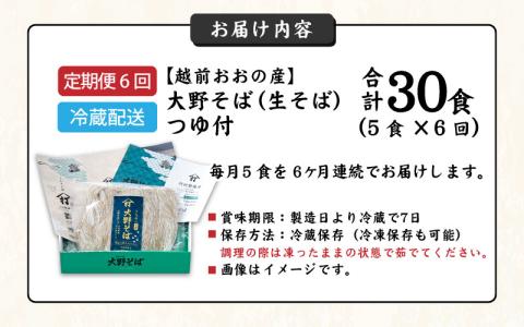 【6ヶ月定期便】越前大野産 石臼挽き 越前そば 生そば5食 × 6回 計30食（つゆ付）