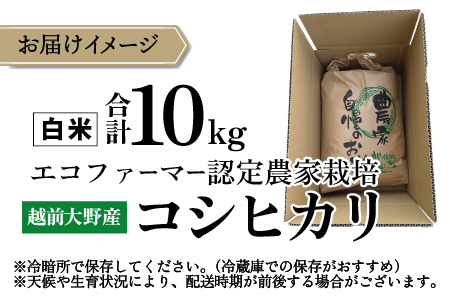 【令和7年産 新米】【有機栽培】越前大野産 エコファーマー認定農家栽培 コシヒカリ10kg（白米）[A-001035]