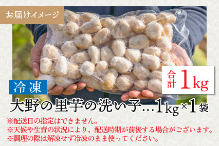 【令和7年産 収穫開始！】簡単手間なし！冷凍のまま調理！大野の里芋の洗い子 1kg×1袋[A-001045]