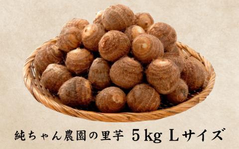 【先行予約】越前大野産 「純ちゃん農園の里芋 5kg」サイズL寸【10月下旬より順次発送】