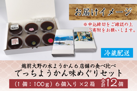 【先行予約】越前大野の水ようかん「でっちようかん味めぐりセット」6店舗の食べ比べ 6個×2箱 計12個 [B-014002]