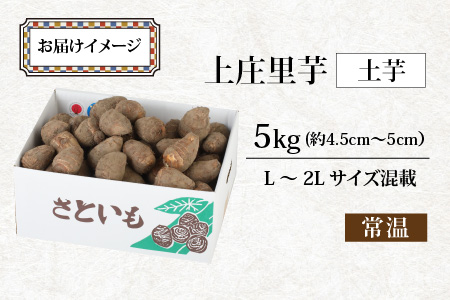 【先行予約】【年内発送】減農薬・減化学肥料の特別栽培里芋上庄里芋 土芋5kg 農家直送【10月～年内出荷】