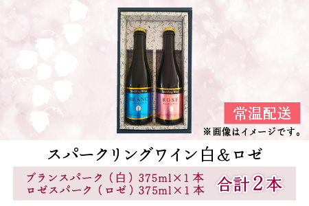 スパークリングワイン 白 ＆ ロゼ 375ml 2本セット [A-021008]