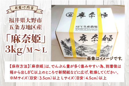 【年内お届け】上庄里芋「麻奈姫」3kg「農家直送」