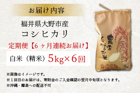 【令和5年産】【6ヶ月定期便】福井県大野市産 コシヒカリ 白米 精米 5kg 農家直送 [D-013001]