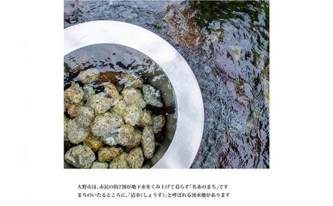 大野在来種として先祖から受け継ぐ「越前里芋」5kg[A-011025]