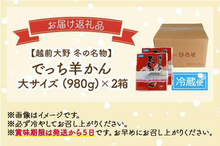 福井県大野市 冬の名物 でっち羊かん (お菓子のひろせ 水ようかん) 大サイズ(約980g)×2箱
