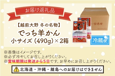 福井県大野市 冬の名物 でっち羊かん (お菓子のひろせ 水ようかん) 小サイズ (490g)×2箱