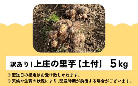 訳あり！上庄の里芋　5kg【土付】