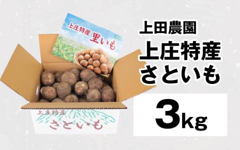 【満天☆青空レストランでご紹介】【年内出荷】上田農園 上庄特産さといも 3kg【10月下旬～順次発送】