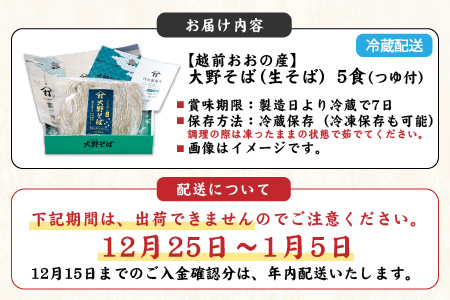 越前大野産 石臼挽き 越前そば 生そば5食（つゆ付）[A-018013]