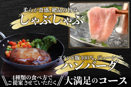 【肉の定期便×12回コース】肉好き大集合！臭みゼロの豚肉「荒島ポーク」食べ比べ 定期便 【福井のブランド豚肉】[K-054001]