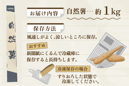 年内発送！日本百名山「自然薯　荒島岳」約1kg [C-041001]