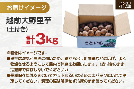 越前大野里芋 3kg ねっとりうまい煮崩れしない！