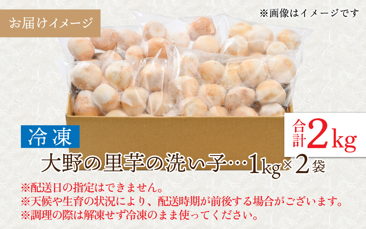 【令和7年産 収穫開始！】簡単手間なし！冷凍のまま調理！大野の里芋の洗い子 1kg × 2袋 計2kg (冷凍) [A-001015]