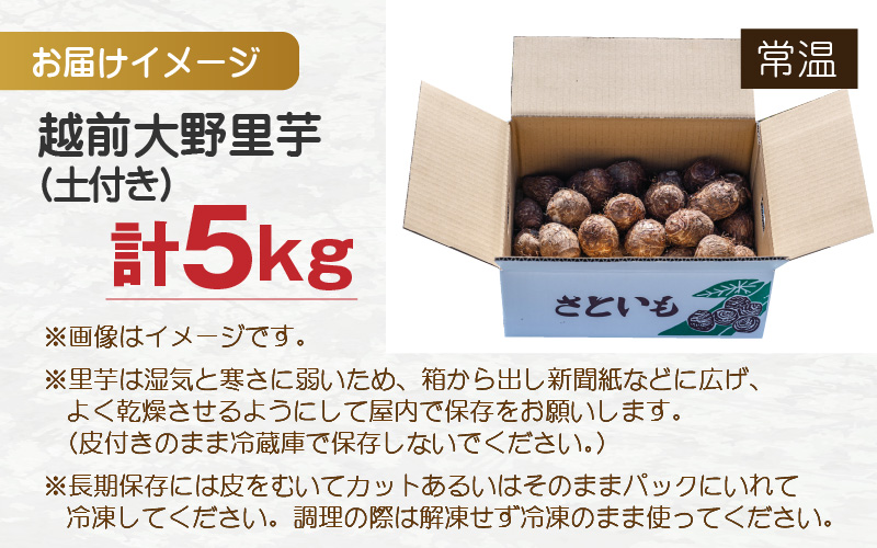 越前大野里芋 5kg ねっとりうまい煮崩れしない！【11月より順次発送】