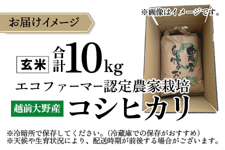 【先行予約】【令和8年産 新米】【有機栽培】越前大野産 エコファーマー認定農家栽培 コシヒカリ5kg（白米）【2026年10月より順次発送】[A-001086]