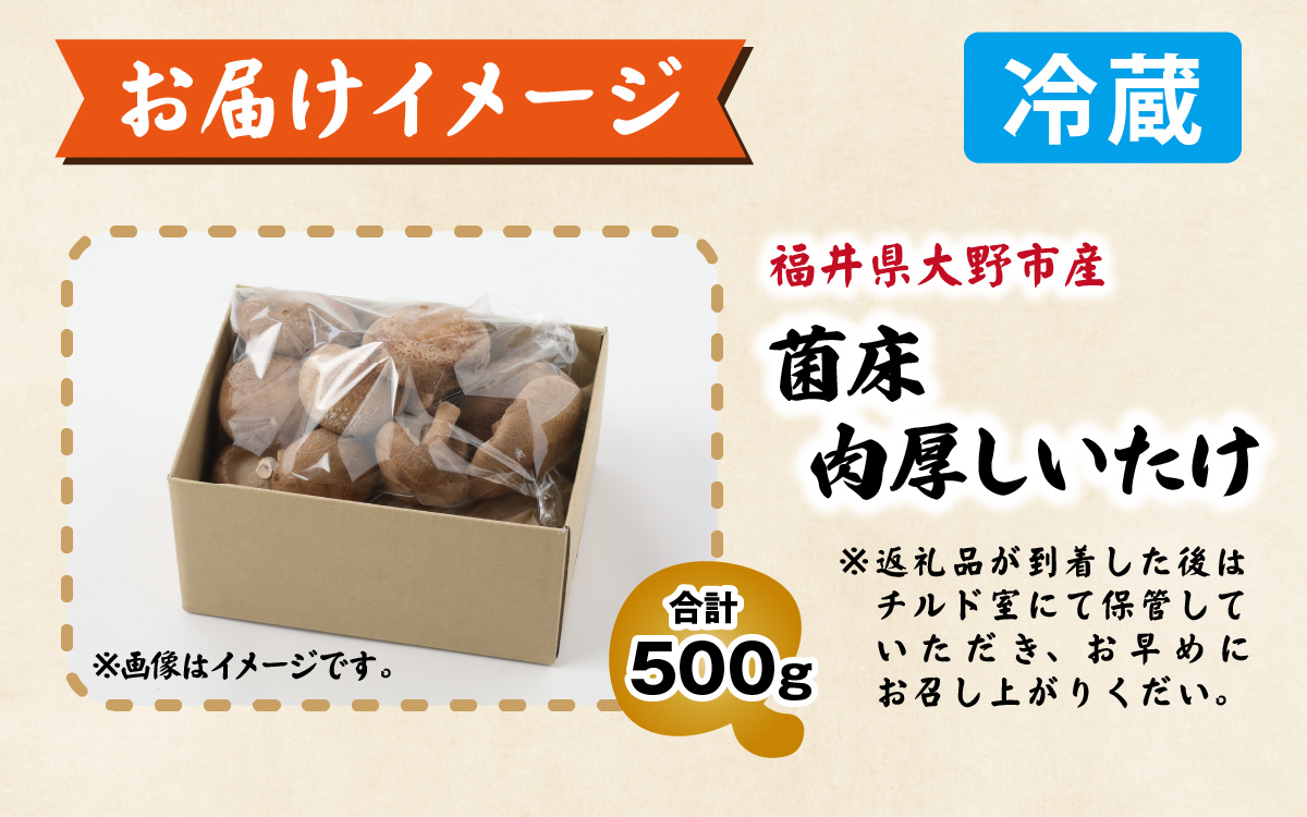 菌床肉厚しいたけ（福井県大野市産）500g[A-003018]